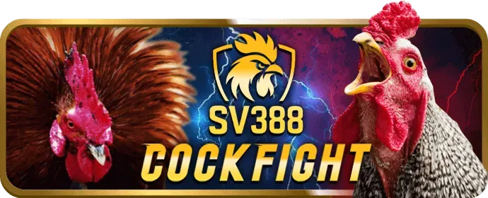 Các loại hình đá gà tại SAY88